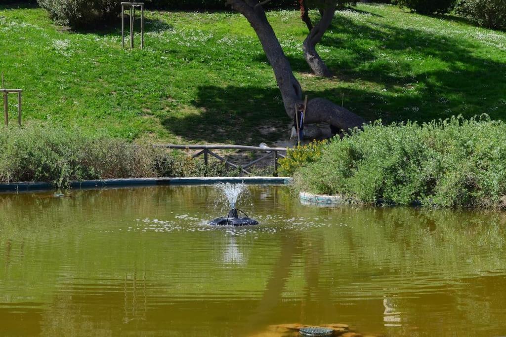 Belvedere Di אנקונה מראה חיצוני תמונה