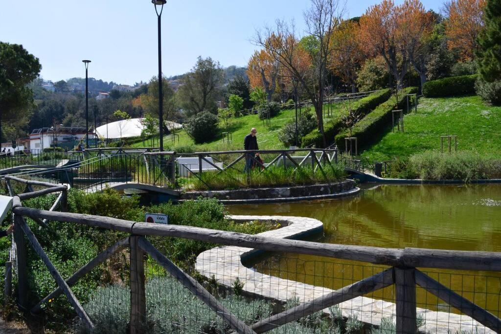 Belvedere Di אנקונה מראה חיצוני תמונה